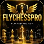 FLYCHESSPRO Game
