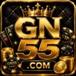 GN55 Game