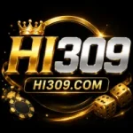 HI309 Game