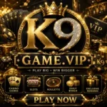 K9 Game