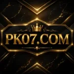 PK07 Game