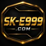 SK E999 Game